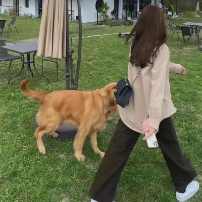 我和我的四个男人